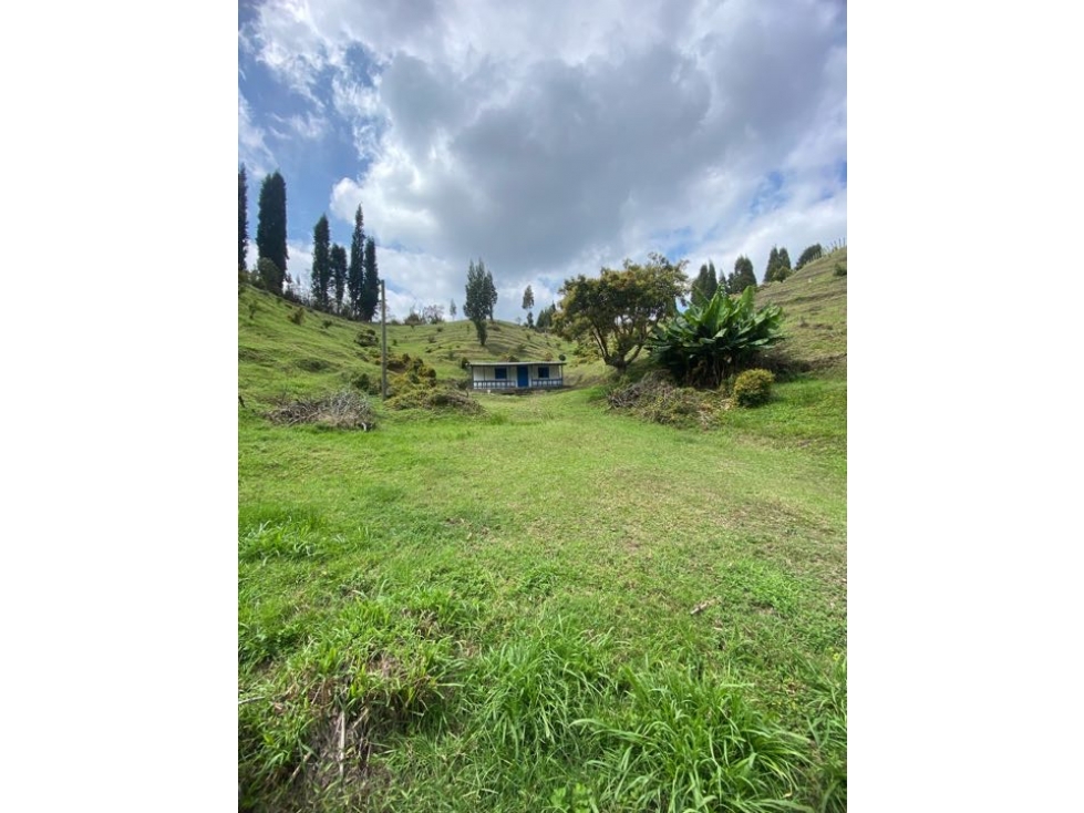 Casa lote en vereda Toldas Guarne — foto 6