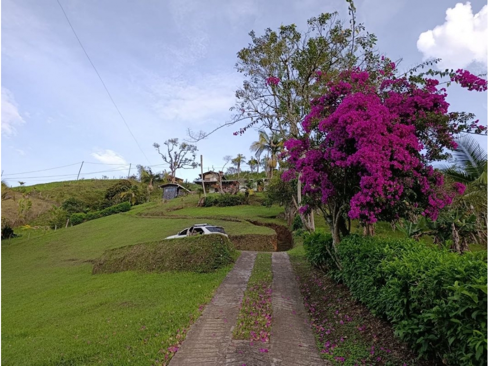 CASA LOTE EN VENTA EL PEÑÓN, CERCA A GUATAPÉ Y LA REPRESA — foto 5