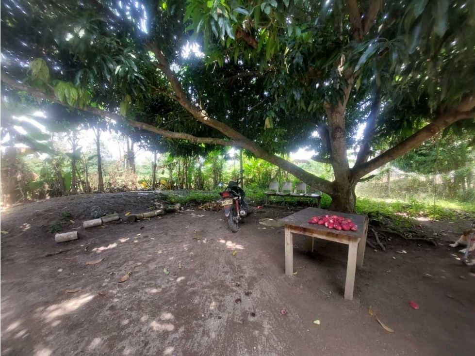 CASA LOTE EN VENTA - EN EL B/ CALIFORNIA CAMPESTRE — foto 2
