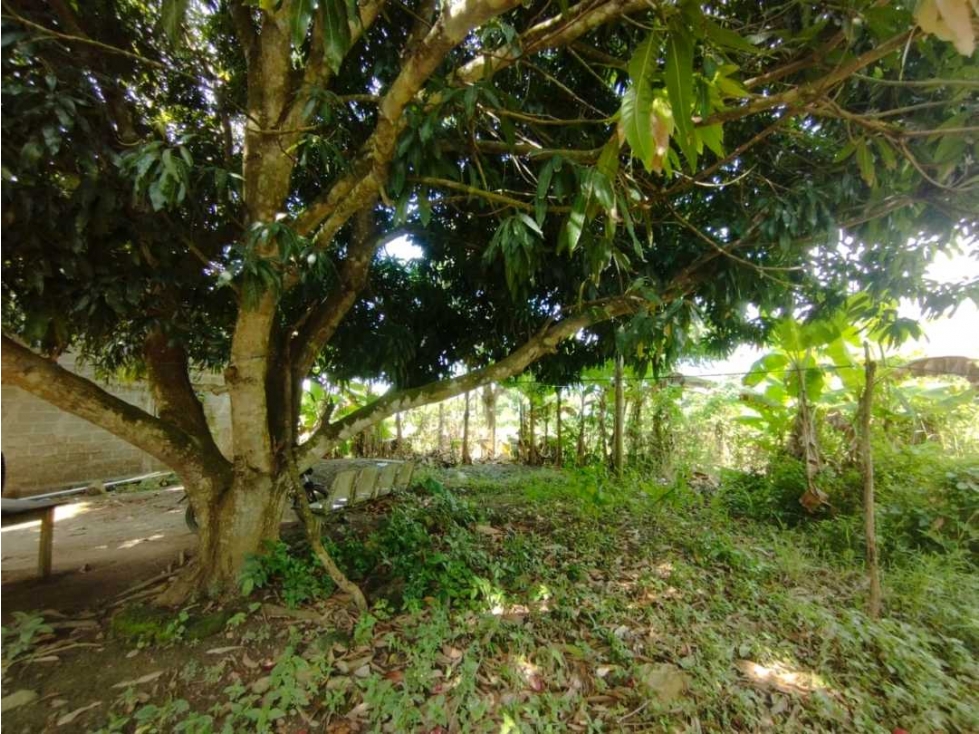 CASA LOTE EN VENTA - EN EL B/ CALIFORNIA CAMPESTRE — foto 3