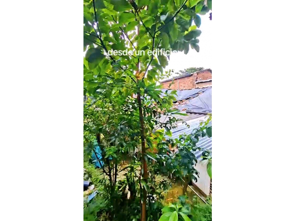 VENDO CASA LOTE EN ENVIGADO PARA UN MUY BUEN PROYECTO — foto 6