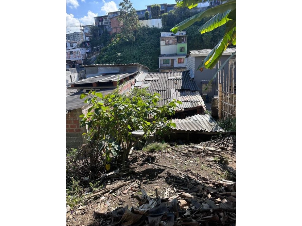 CASA LOTE PARA LA VENTA LOS CEDROS MANIZALES — foto 3