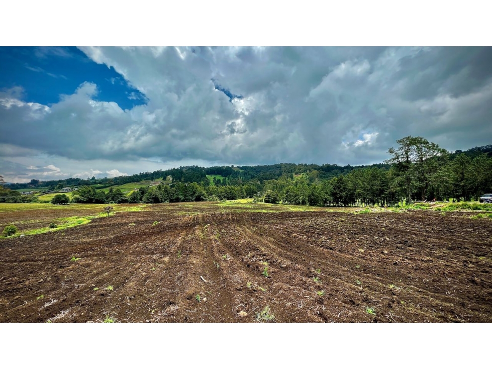 Venta Espectacular Lote Alto Palmas 100% plano Envigado