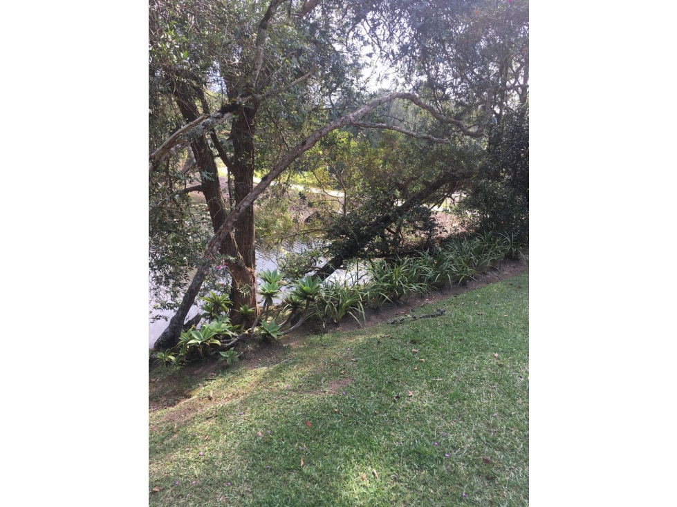 Casa oriente vereda quirama — foto 2