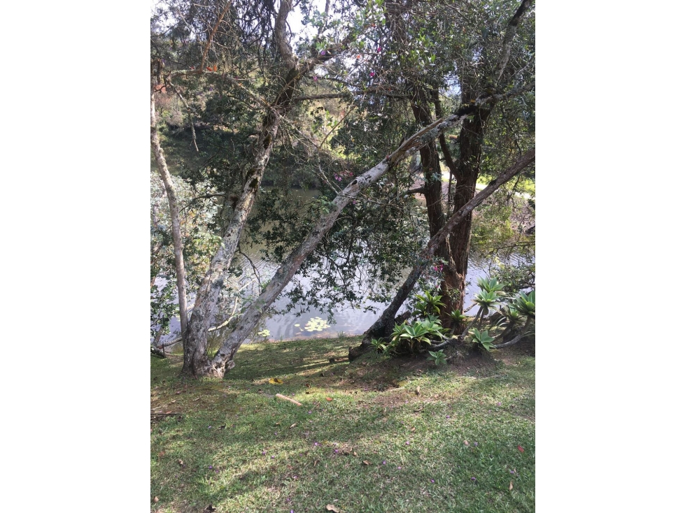 Casa oriente vereda quirama — foto 6