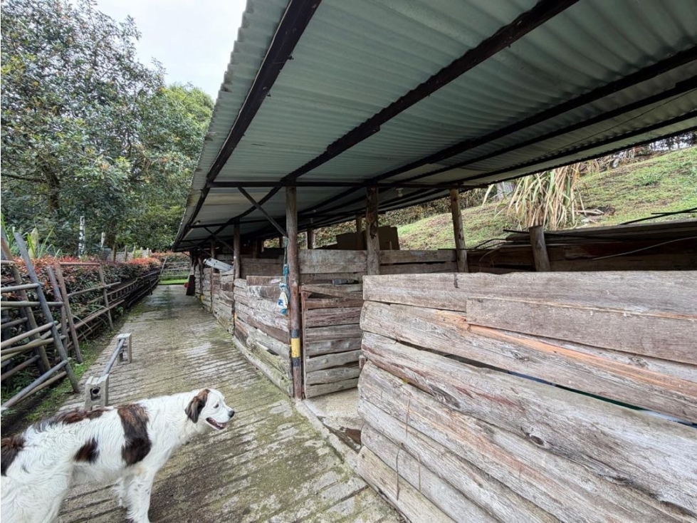 Casa para la Renta en el Retiro sector Fizebad — foto 6