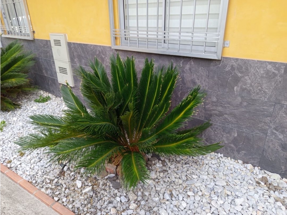 Casa en Venta en La Ceja