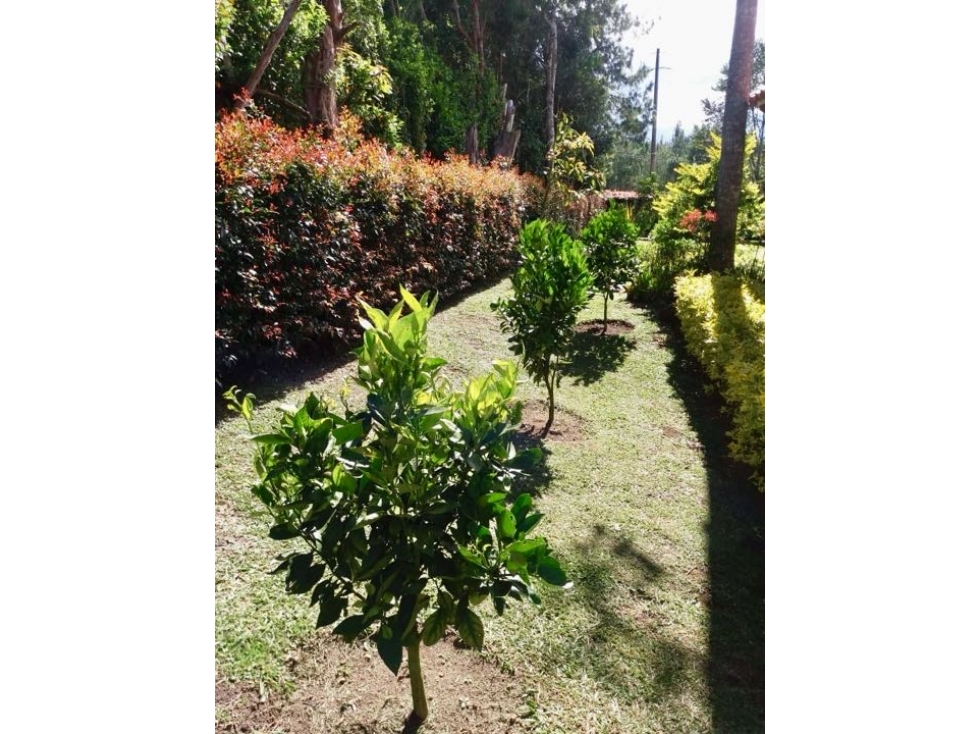 Casa para Arriendo en Llanogrande — foto 5