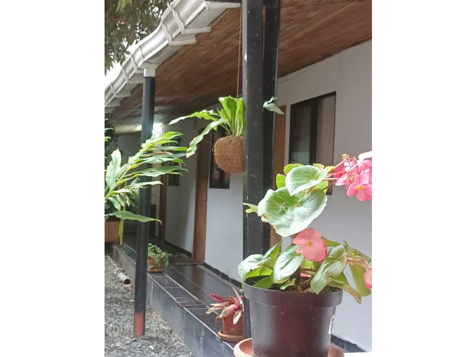 CASA LOCAL, PARA RENTA EN SAN JOAQUIN — foto 2