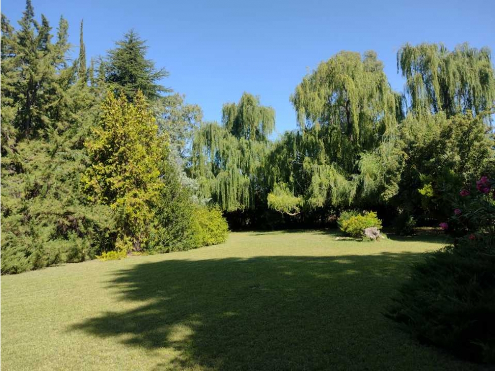 CASA QUINTA CON PARQUE DE 100 AÑOS SAN RAFAEL MENDOZA - 6