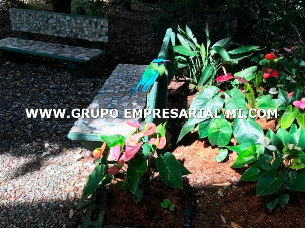 CASA UNIFAMILIAR EN VENTA - SECTOR LA INMACULADA, ENVIGADO COD: 25279 — foto 5