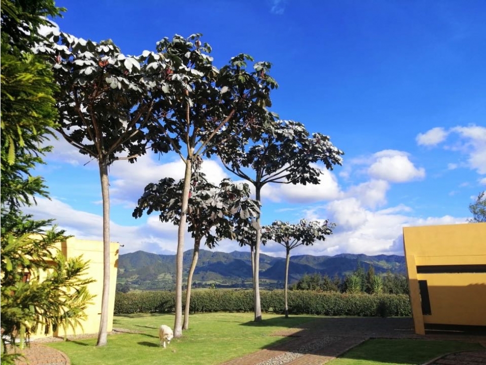 CASA CAMPESTRE VENTA SUBACHOQUE - 5