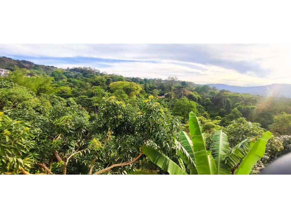 Casalote de 2000 M2 de 490 mill en La Mesa Cund a 13 Min del pueblo — foto 2