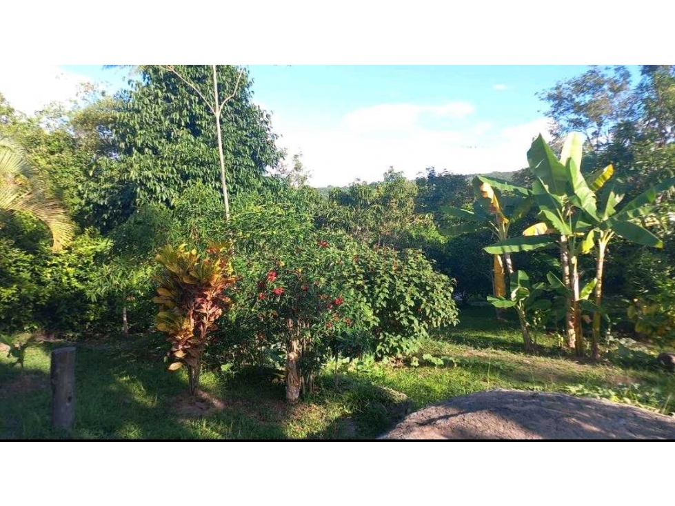 Casalote de 2000 M2 en 485 mill en #lamescundinamarca — foto 5