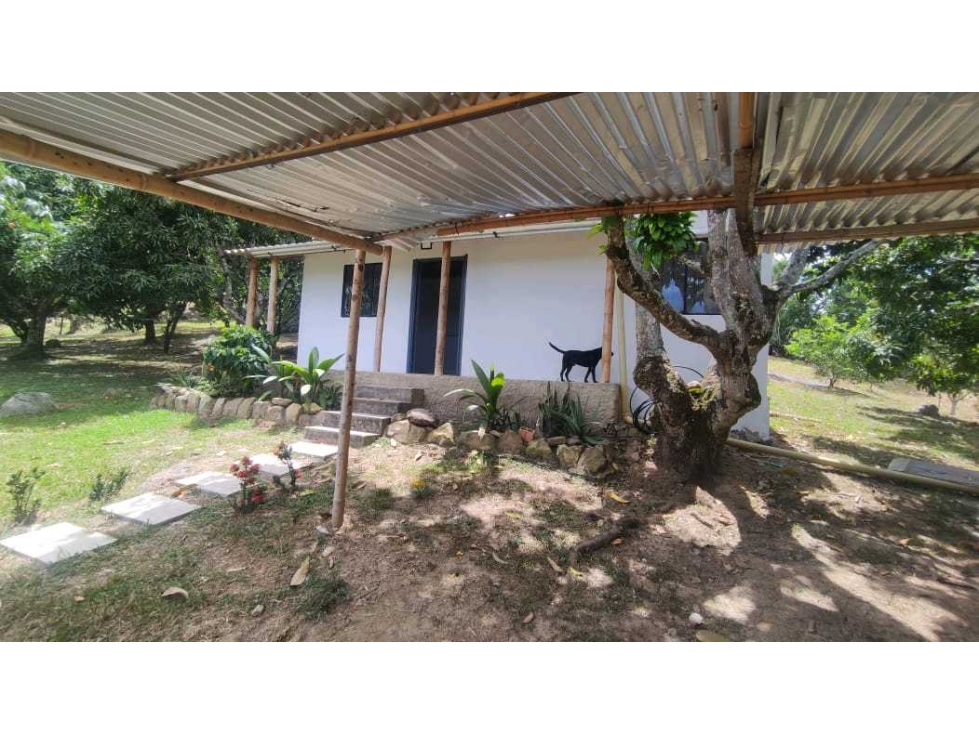 Casalote de 550 M2 en 225 mill en La Mesa Cund, a 5 min del pueblo — foto 2