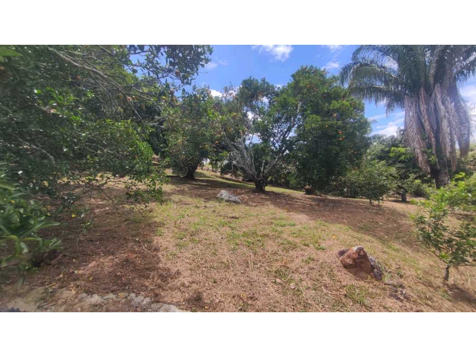 Casalote de 550 M2 en 225 mill en La Mesa Cund, a 5 min del pueblo — foto 5