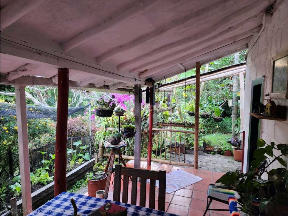 CASAS CON HERMOSO LOTE SEMBRADO EN EL CARMEN DE VIBORAL — foto 5