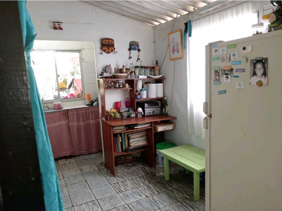 CASAS CON HERMOSO LOTE SEMBRADO EN EL CARMEN DE VIBORAL — foto 3