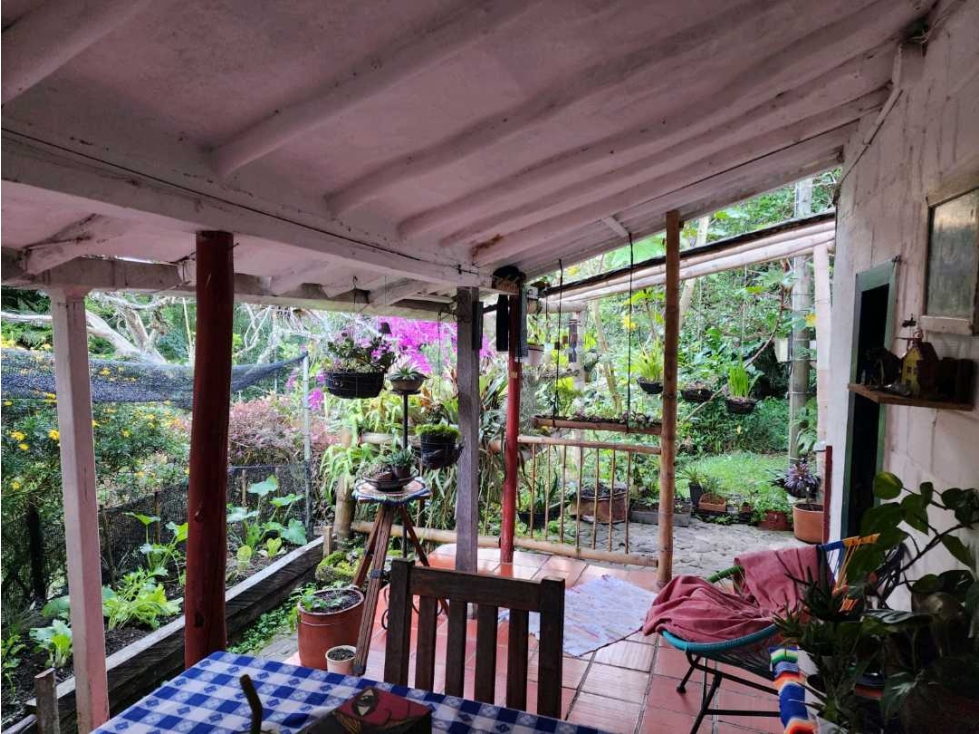 CASAS CON HERMOSO LOTE SEMBRADO EN EL CARMEN DE VIBORAL — foto 6