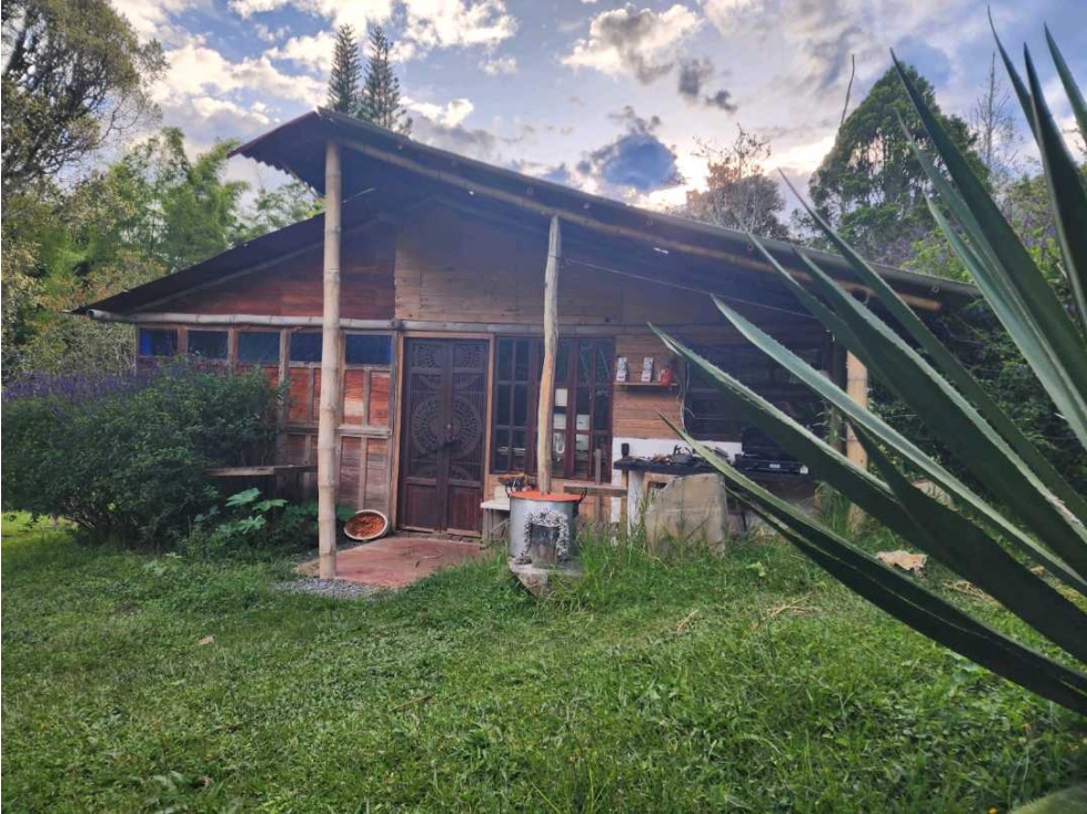 CASAS CON HERMOSO LOTE SEMBRADO EN EL CARMEN DE VIBORAL — foto 2
