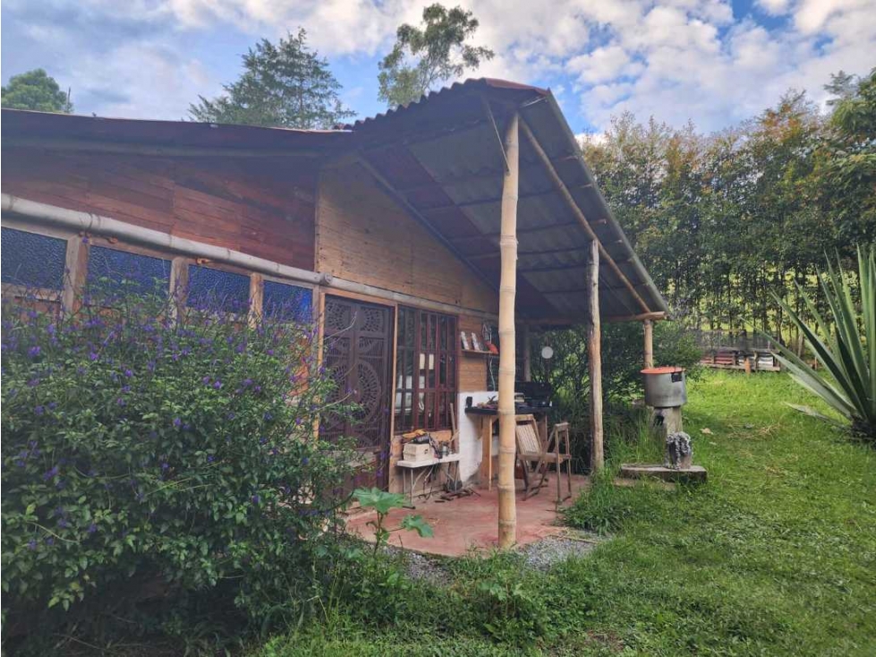 CASAS CON HERMOSO LOTE SEMBRADO EN EL CARMEN DE VIBORAL