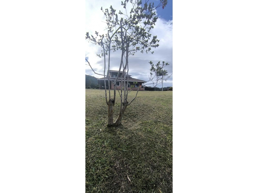 Casas en campestre en arriendo Escobero