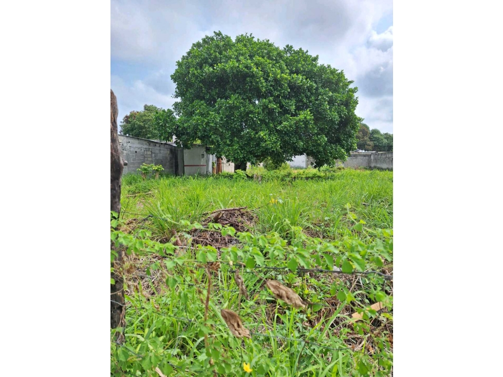 Centla Tabasco Lote en Venta Sup. 892.15 M2 libre de Gravamen - 3
