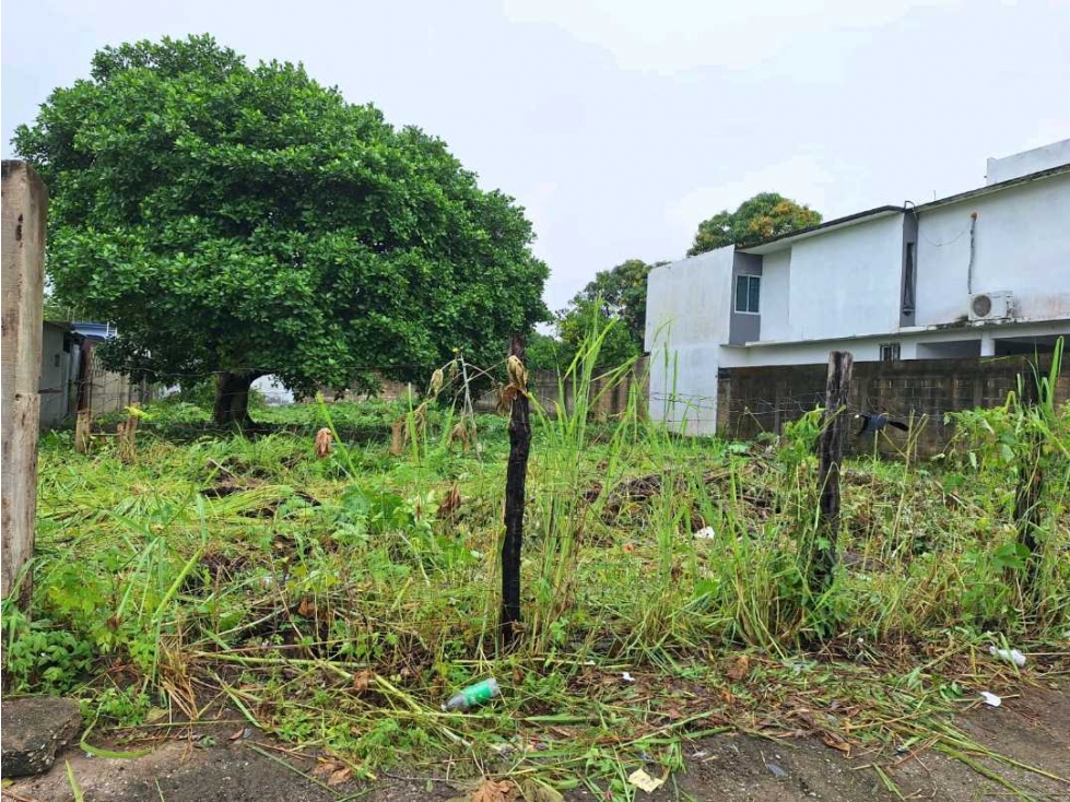 Centla Tabasco Lote en Venta Sup. 892.15 M2 libre de Gravamen - 4