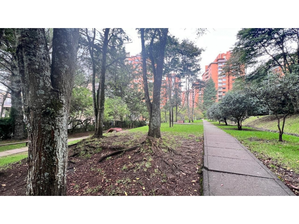 CERROS ORIENTALES VENTA PH TERRAZA DUPLEX