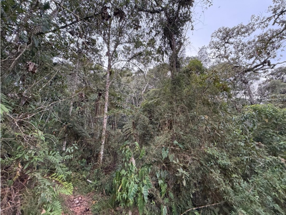 Cesión de derechos sector La Argentina El Retiro 1376 Mts2 - 4