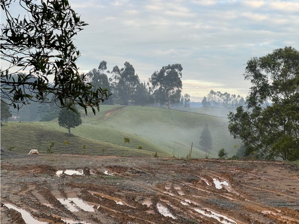 Cesión derechos Lote La Mosquita Guarne 1441 Mts2 5 min del tunel