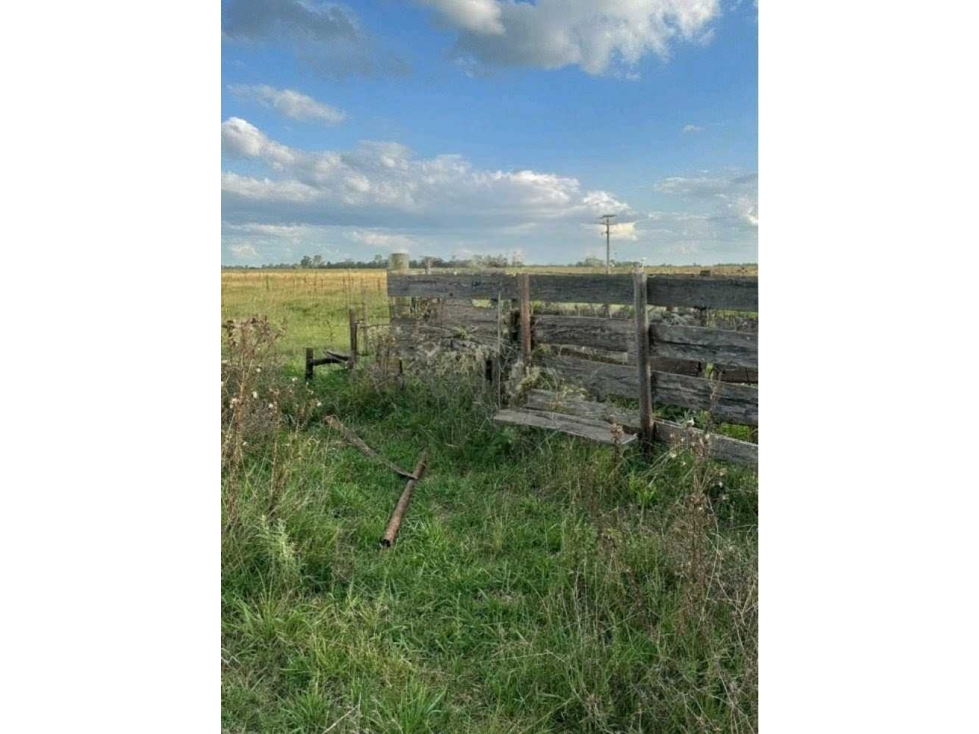 CHACRA 35,4 HECTAREAS, MIXTO, RANCHOS, BUENOS AIRES, ARGENTINA - 5