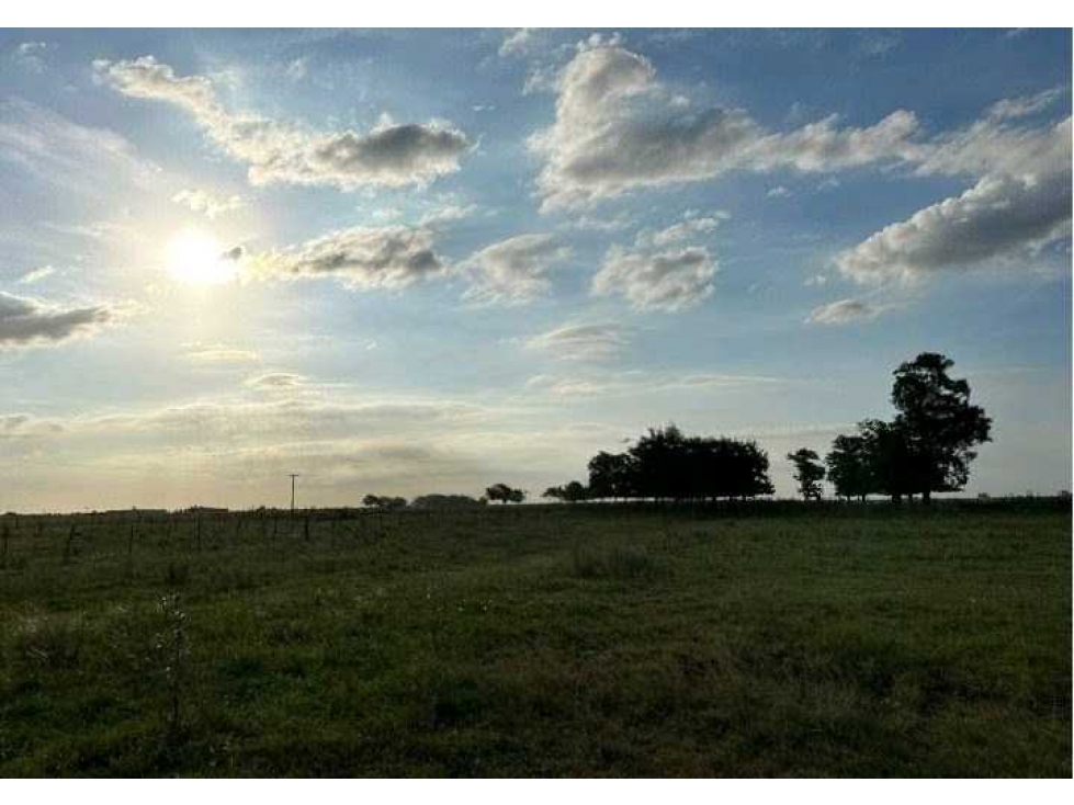 CHACRA 35,4 HECTAREAS, MIXTO, RANCHOS, BUENOS AIRES, ARGENTINA - 2