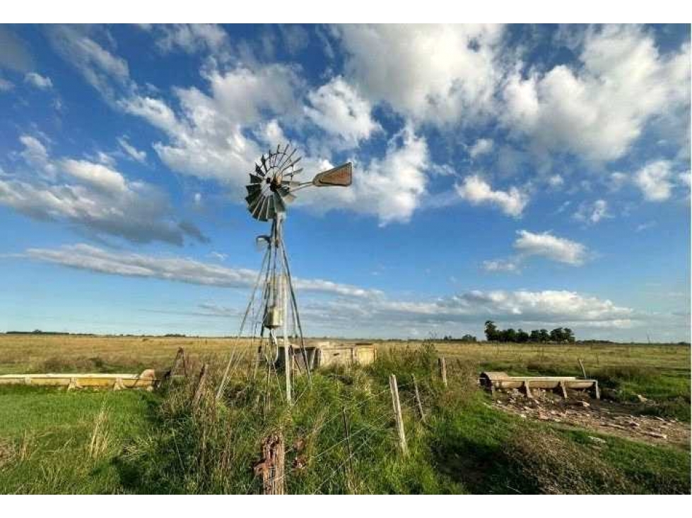 CHACRA 35,4 HECTAREAS, MIXTO, RANCHOS, BUENOS AIRES, ARGENTINA - 6