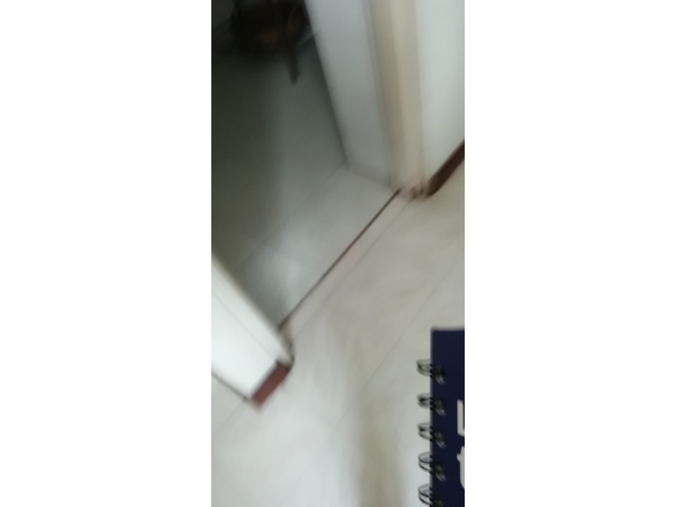 CL 10 24 105 AP 402 ED MARLAVIVIANA — foto 5