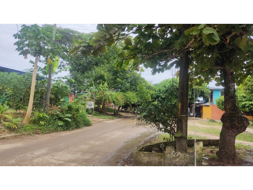 CL 11 1 A 86 — foto 2