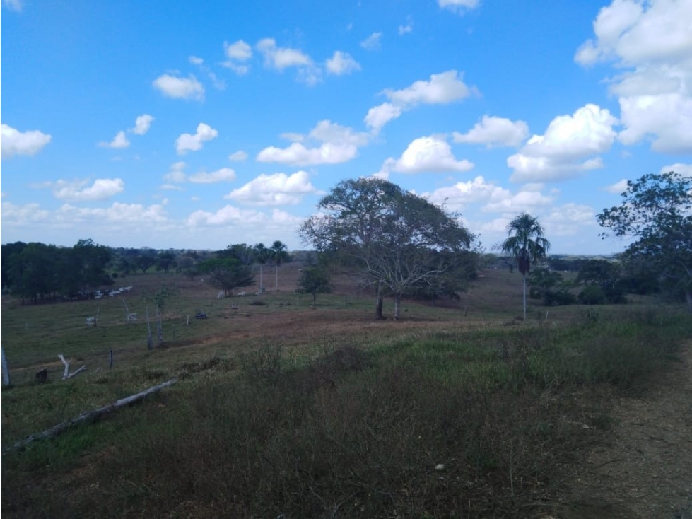CL 1 A 24 37 — foto 3