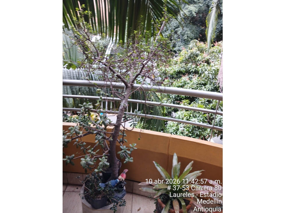 CL 38A 80 53 AP 307 — foto 6