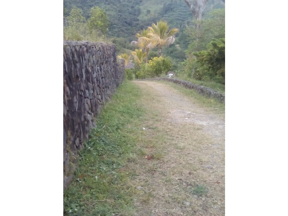 CL 6 OESTE 10 OESTE 85 ED BOSQUES DEL OESTE CONDOMINIO CAMPESTRE IV — foto 5