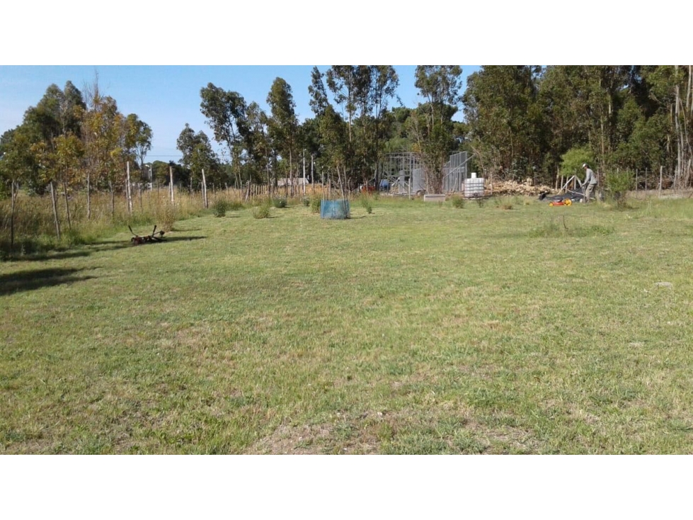 Claromeco - Zona GOLF 20 x 40 mts - Con proyecto! - 3