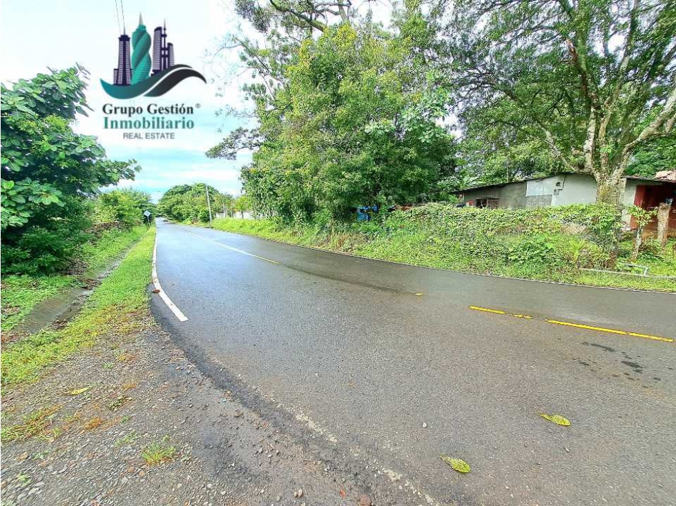 COCHEA ARRIBA, FINCA EN VENTA - 1