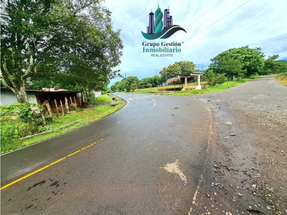 COCHEA ARRIBA, FINCA EN VENTA - 2