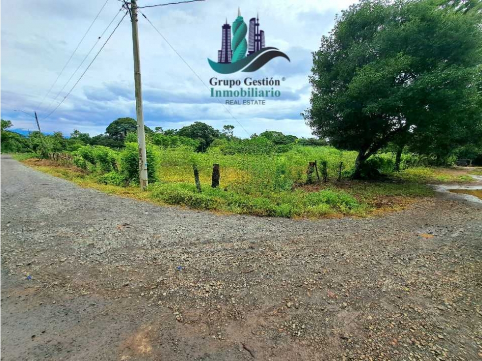 COCHEA ARRIBA, FINCA EN VENTA - 3