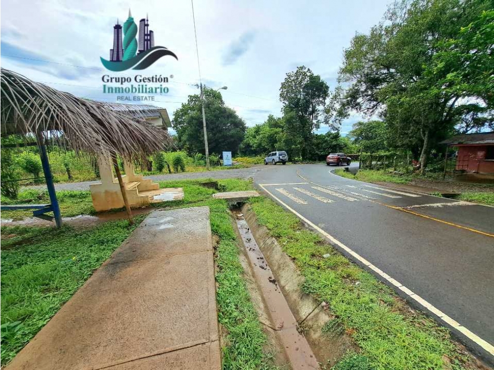 COCHEA ARRIBA, FINCA EN VENTA - 4