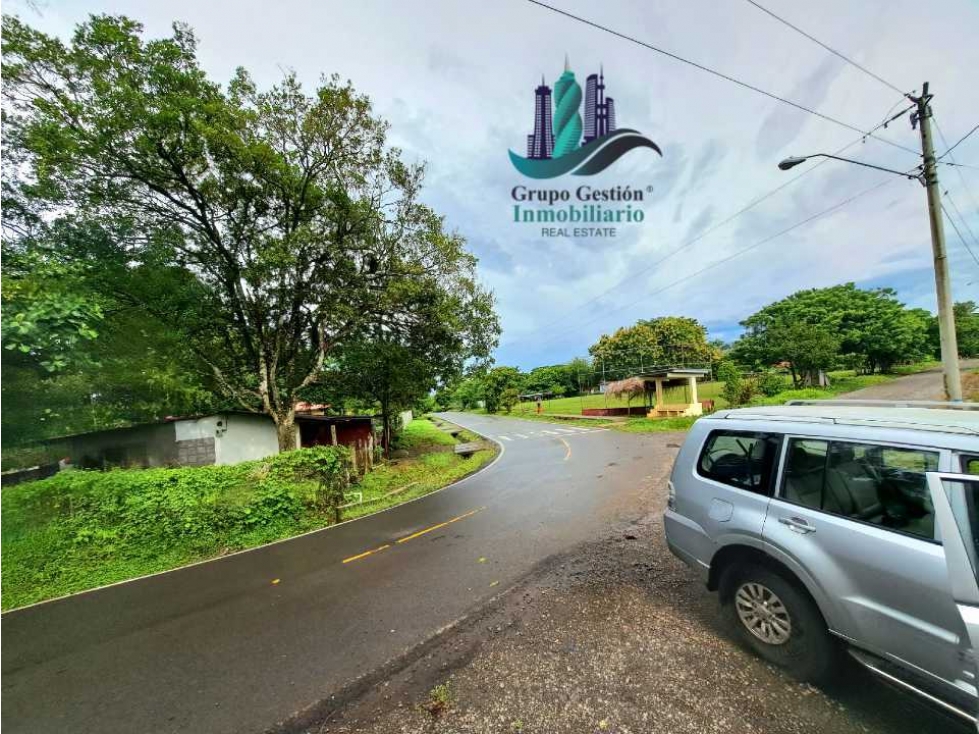 COCHEA ARRIBA, FINCA EN VENTA - 5