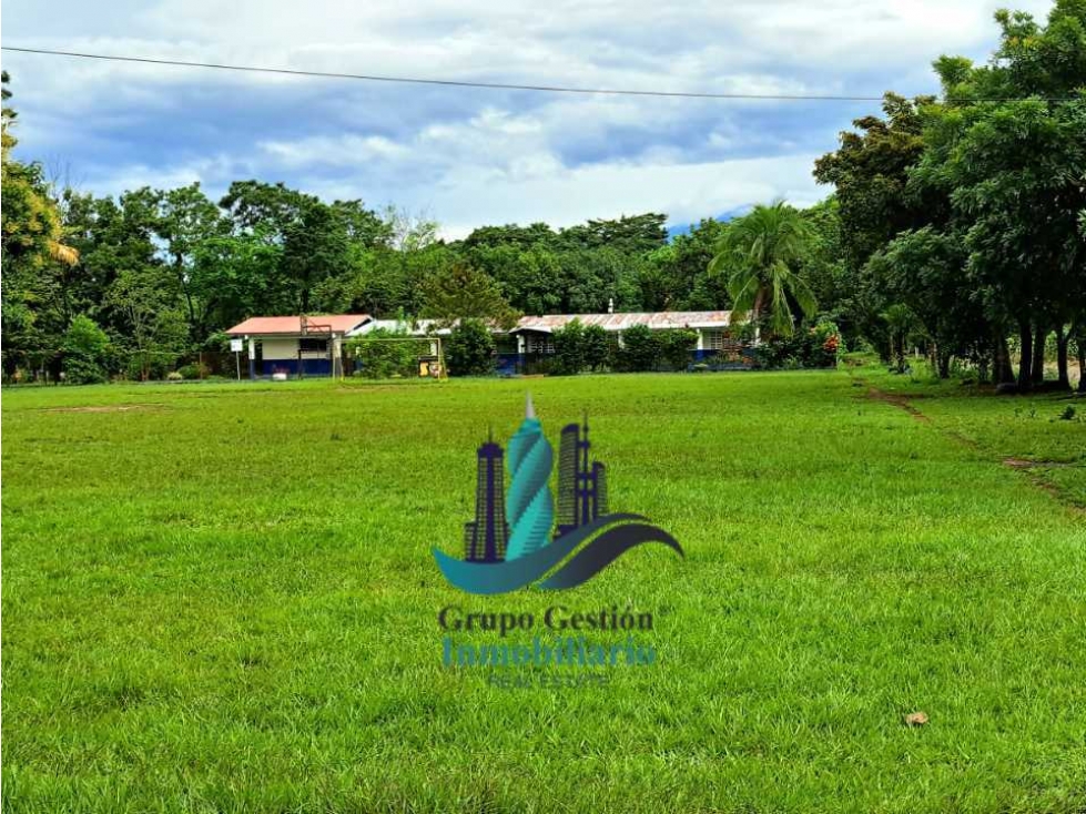 COCHEA ARRIBA, FINCA EN VENTA - 6