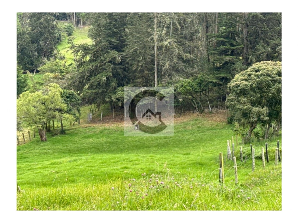 COD: VTLT1450067 -- Lote en venta en Jenesano - 2