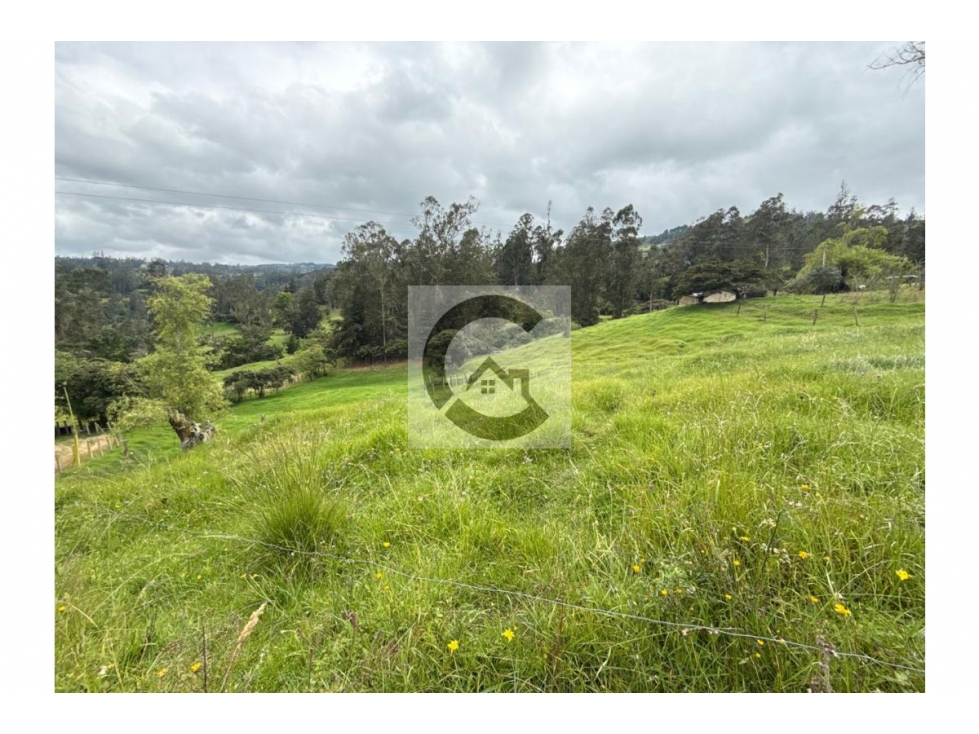 COD: VTLT1450067 -- Lote en venta en Jenesano - 3