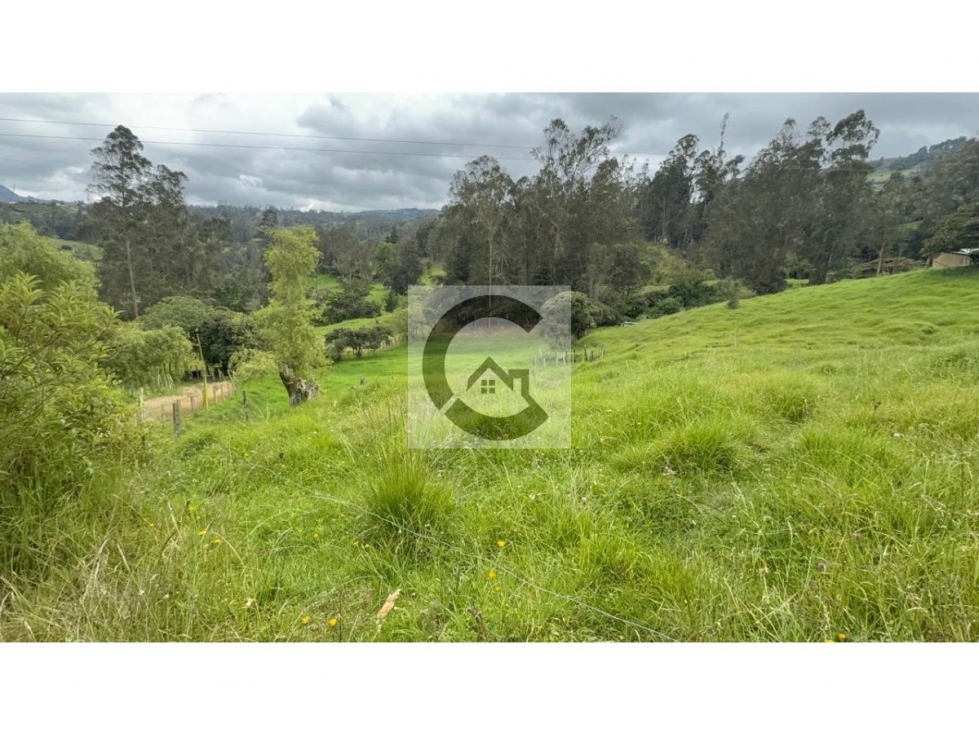 COD: VTLT1450067 -- Lote en venta en Jenesano - 4