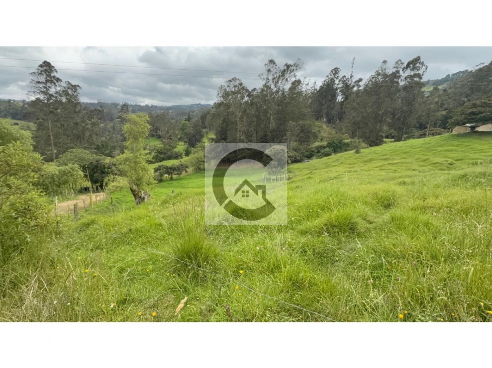 COD: VTLT1450067 -- Lote en venta en Jenesano - 5